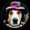 Leonel Vasquez - @leonel.vasquez019 - TikTok