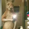 Leonel Vera - @leonel.vera557 - TikTok