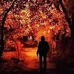 Леонид Петров - @leonid_petrov_ - Instagram