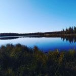 Леонид Петров - @leonidpetrov573 - Instagram
