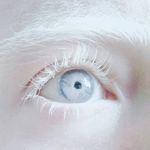 Leónidas Browns - @leonidas_browns3109 - Instagram