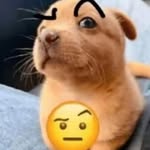 Leonidas Rojas - @leonidas.rojas.9615 - Instagram