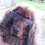 Leónides Antonio Barrera - @simauy_paty - Instagram