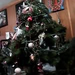 leonides Garcia nicolas - @leonidesgarcianicolas - Instagram