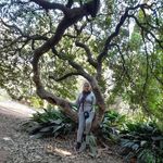 Leonides Gomez - @leonides.gomez.7393 - Instagram