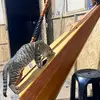 leonideslopez54 - @leonideslopez54 - TikTok