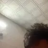 blakeleonie - @blakeleonie - TikTok