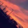 Leonie Hansen - @hummelgirl2 - TikTok