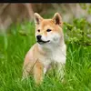 leonie keller - @leonie29.09.2000 - TikTok