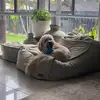 Leonie McDonald - @leonie.mcdonald2 - TikTok