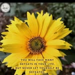 Leonie  Murphy - @leoniemurphy6103 - Instagram