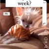 Leonie Pearson - @leonie.pearson - TikTok