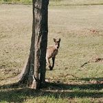 Leonie Phillips - @leoniephil1969 - Instagram