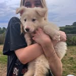 Leonie Simon - @leoniesimon185 - Instagram