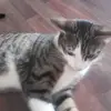 Leonie simon - @kpjjl - TikTok