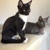 Leonie Taylor - Facebook