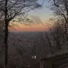 leoni.veith - @leoni.veith - TikTok