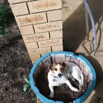 Leonie Wade - Facebook