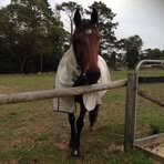 Leonie Warner - Facebook