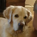 Leonie Warner - @leoniepw5725 - Instagram
