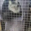 Leonie Wright - @leonie.wright - TikTok