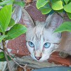 Leonilde Pinto - Facebook