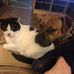 Leonna Johnson - Facebook