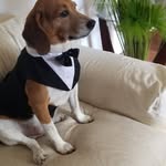 Leonor Abad - @leonor.abad.1 - Instagram