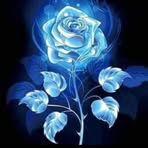 Leonor Anselmo - Facebook