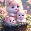 Leonor Arias - @leonor.arias1 - TikTok