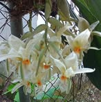 Leonor Arroyo - Facebook
