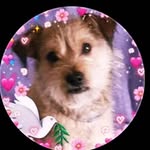 @leonor.ballesterosponce - Instagram