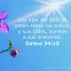 Leonor Benacho - @leonor.benacho - TikTok