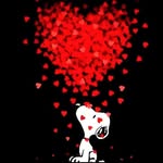 Leonor Bello - @leonor.bello.5 - Instagram