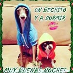 Leonor Olivera - @leonor_bello_amor - Instagram
