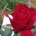 Leonor Beray - Facebook