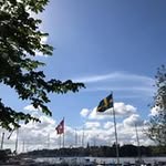 Nora Blackwell - @leonorblackwell - Instagram