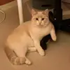 Leonor Buck - @leonor.buck249 - TikTok