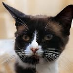 Izetta Gaton - @leonorburton9285163 - Instagram