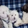 María Leonor Cabello Muñoz - @mara.leonor.cabel - TikTok