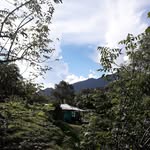 Leonor Cabrera - @leo__matius - Instagram