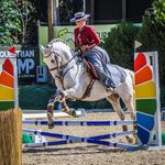 Leonor Campos - @leonor.horses - Instagram