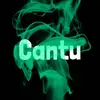 Leocantu - @leonorcantu - TikTok