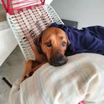 leonor casanova Arenas - @32.741946 - Instagram