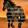 Leonor Ceron - @leonorceron3 - TikTok