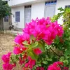 Leonor Chaparro - @leonor.chaparro22 - TikTok