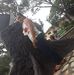 Leonor Escobar - Facebook