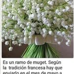 Aida Gallo - @leon_orgallo - Instagram