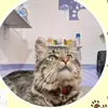Leonor Gallo - @leonor.gallo48 - TikTok