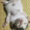 Leonora Gardner - @leonoragardner6326 - TikTok